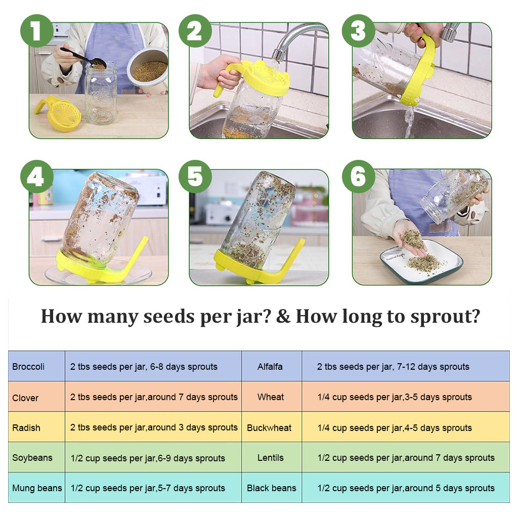 HASTHIP Seed Sprouting Jar with Lid 32Oz Glass Sprouting Mason Jar Ventilation PP Handled Lid Design Reuseable Glass Sprouting Mason Jar for Edible Sprouts, Mung Beans, Lentils HASTHIP Seed Sprouting Jar with Lid 32Oz Glass Sprouting Mason Jar Ventilation PP Handled Lid Design Reuseable Glass Sprouting Mason Jar for Edible Sprouts, Mung Beans, Lentils
